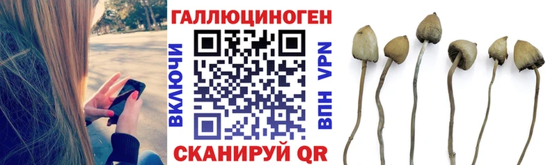 ОМГ ОМГ ссылка  Железногорск  Галлюциногенные грибы MAGIC MUSHROOMS 
